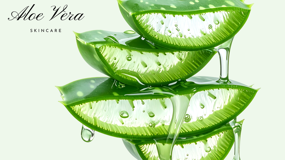 Aloe Vera Nahaufnahme