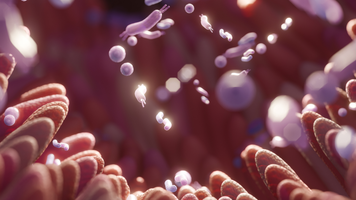 3D-Illustration von Bakterien und Mikroorganismen auf Darmzotten – Symbolbild für Mikrobiom und Darmflora